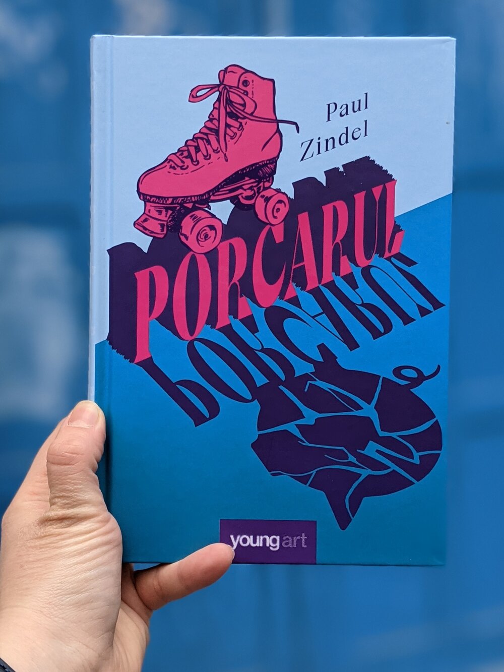 Ce citesc tinerii - Porcarul